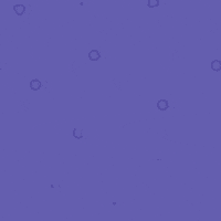 The new standard in bitcoin dice